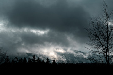 Obraz premium Scenic mountain landscape view with moody dark winter vibes and low hanging clouds with fog and pine tree silhouettes. Forest Harz Mountains, National Park Harz in Germany