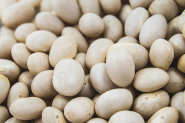 Fototapeta na wymiar white beans background