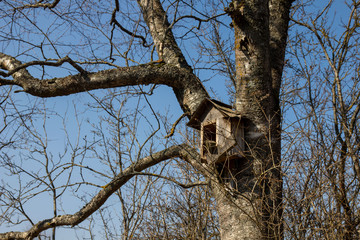 old birdhouse in an abandoned village