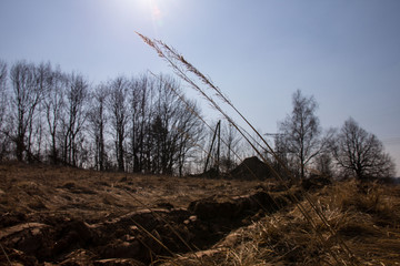 autumn rural landscape with dry yellow grass crushed by the wind, a pillar and bare trees in the background