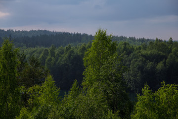 view from the height of the forest landscape with a cloudy sky and breaking through the sun's rays
