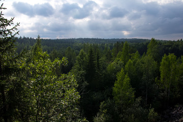view from the height of the forest landscape with a cloudy sky and breaking through the sun's rays