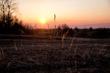 frosty sunset in early spring in the countryside in a field with last year's grass