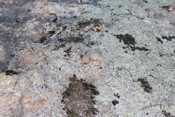 Fototapeta premium texture of stone
