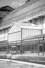 Greenhouse in Paris. Black and white vintage filtered photo.