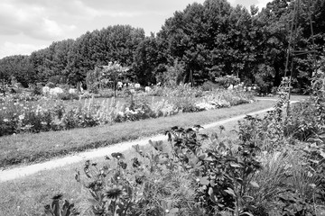 Paris - Garden of Plants. Black and white vintage toned image.