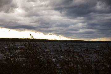 storm on the seashore during summer sunset