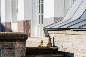 squirrel on the background of the Palace wall in the city park