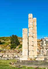 Ruins of the Letoon in Turkey