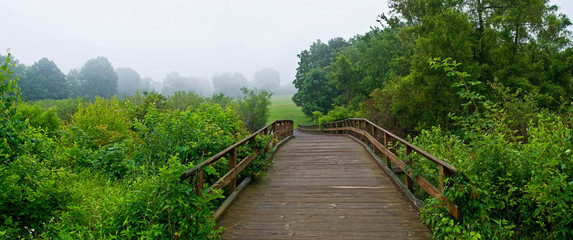 Footbridge Panorama