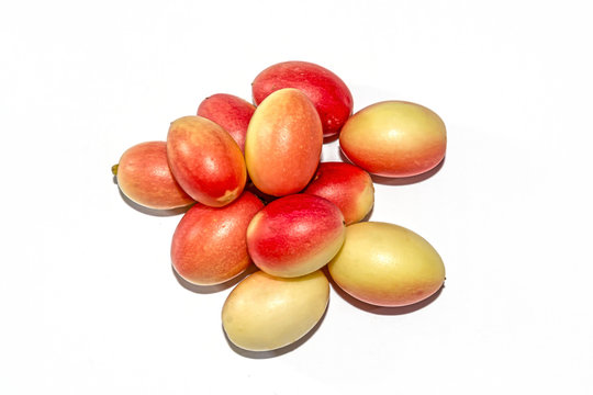Close up shot of fresh Indian Carissa carandas or karanda fruit on isolated white background.Carissa carandas named as koromcha.