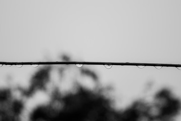 cable