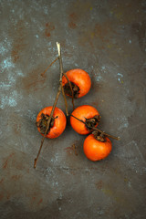 Vista dall'alto del ramo con frutti di cachi arancio maturo. Diospyros kaki Lycopersicum.