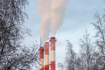 Smoke from the chimney.