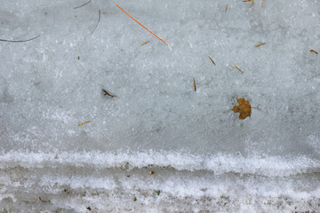 maple leaf lying on the ice of the lake