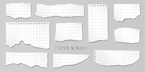 Checkered paper scraps. Torn page pieces. Scrapbook design elements. Vector illustration.