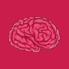 Illustration of the Human Brain.