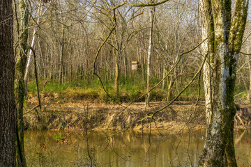 An old  deer stand can be seen across the river.