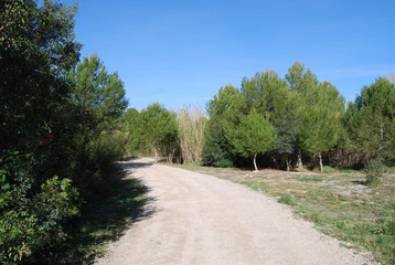 Fototapeta na wymiar Countryside in Vilamarxant, Valencia, Spain