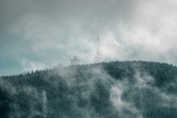 Misty landscape with fir forest in hipster vintage retro style. Forest Harz Mountains, National Park Harz in Germany