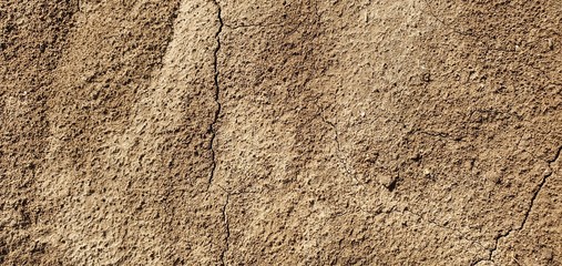 Texturas campo aceitunas
