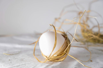 Natural white egg with straw stalks around. Non-standard composition. Concept of origin of life. Selective focus. Copy space.
