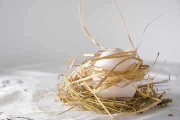 Natural white egg in soft straw stalks. Non-standard composition. Life extension concept.