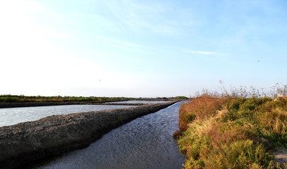 Beautiful landscape pictures In the evening salt sea in Thailand