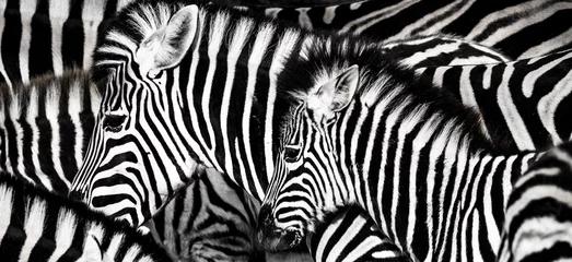 Tuinposter Zebra achtergrond waarop de structuur van de huid van een zebra is weergegeven