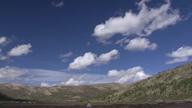 Mongolia. Darkhat basin. The camp of reindeer herders. Deer.