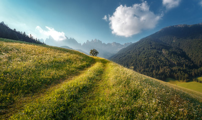 Beautiful view of idyllic alpine mountain scenery with fresh green grass on meadows and majestic mountain peaks on a beautiful sunny day with blue sky in springtime. Amazing Nature Scenery.