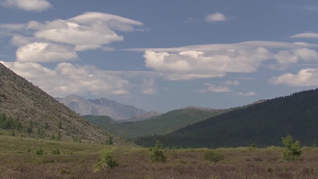 Mongolia. Darkhat basin. The camp of reindeer herders. Deer.