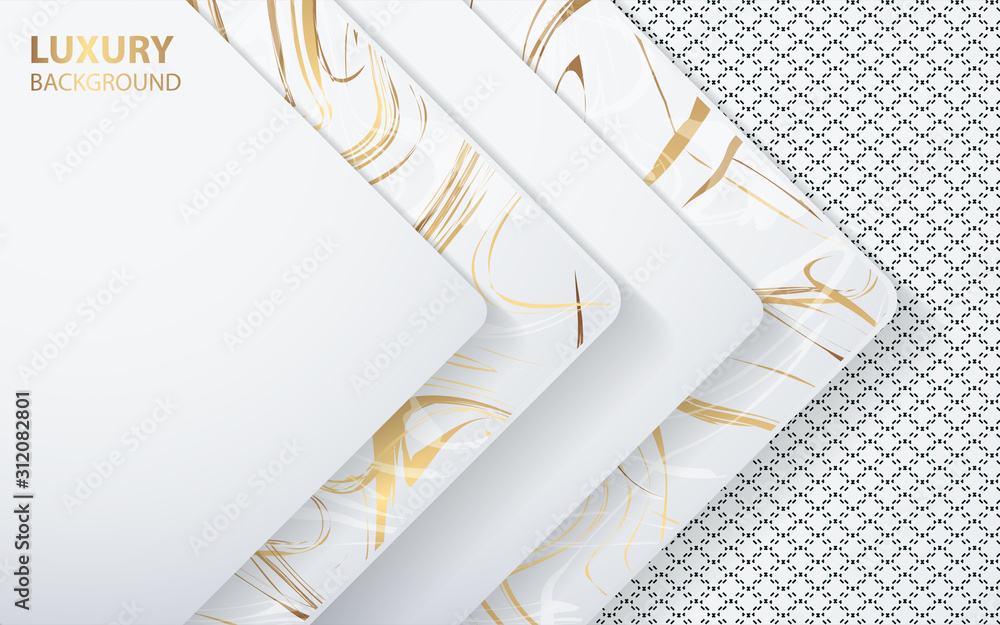 Poster modern abstract light silver background vector. elegant shape design with golden line element. luxur
