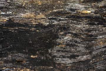 old wood texture