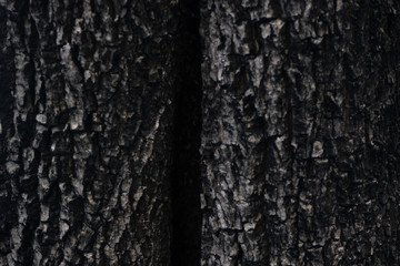 dark wood texture