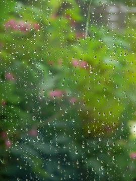 View through a window on a rainy day © Jan