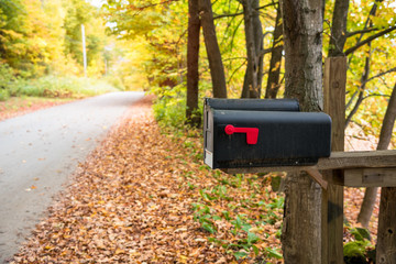 Traditional American mailboxes along a forest road in the countryside on a sunny autumn day