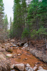 Mountain stream in Colorado Springs Colorado in early spring