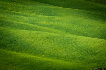 Spring view of typical Italian field