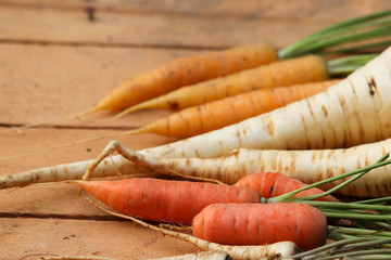 Frisches Wurzelgemüse