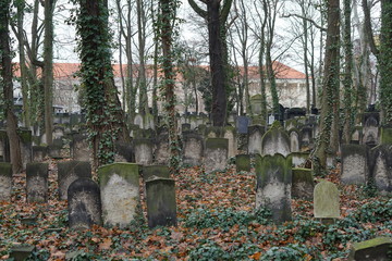 Teilansicht des Jüdischen Friedhofs in der Schönhauser Allee (Berlin)