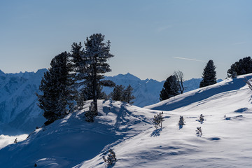 Fototapeta premium verschneite Berglandschaft im Winter