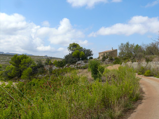 Fototapeta na wymiar View over the dry macchia in Spain