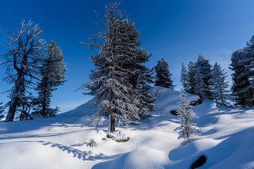 verschneite Berglandschaft im Winter