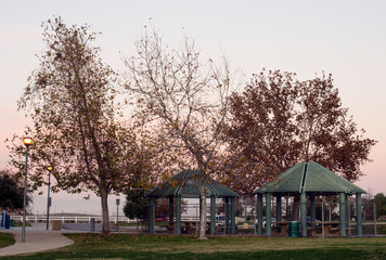 Fall in the park with setting sun sky