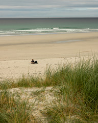 woman and dog on the beach