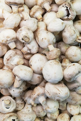 Raw champignon mushrooms. Top view on a store counter