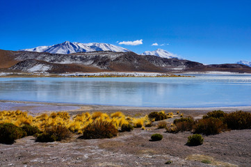 Lagoon view in the altiplano in Bolivia