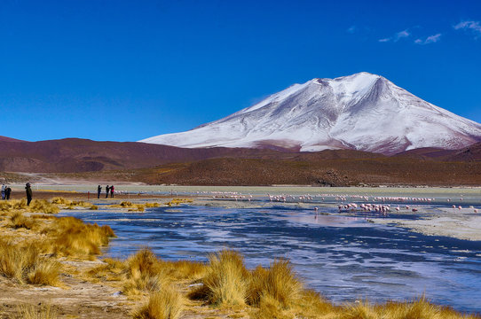 Landscape in the altiplano in Bolivia