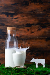 Bottle and glass of milk with splash with grass and silhouete of caw 